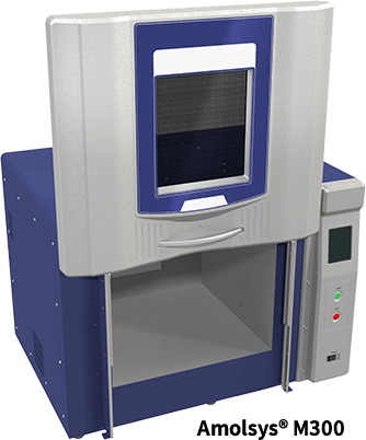 マイクロ波照射成形システム